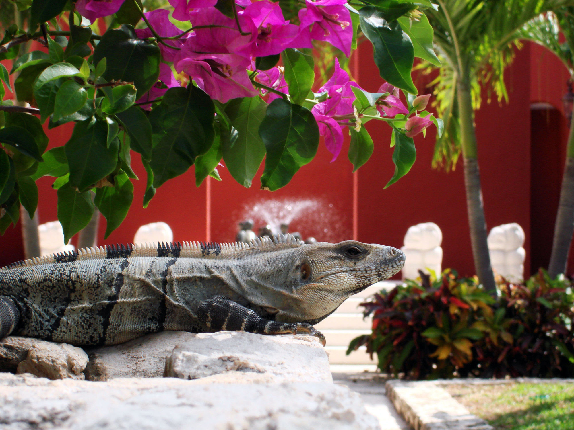 Paraiso De La Bonita Adult All-Inclusive, A Luxury Collection Resort Puerto Morelos Olanaklar fotoğraf